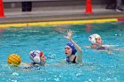WWPolo vs CC  Wheaton College Women’s Water Polo vs Connecticut College. - Photo By: KEITH NORDSTROM : Wheaton, water polo